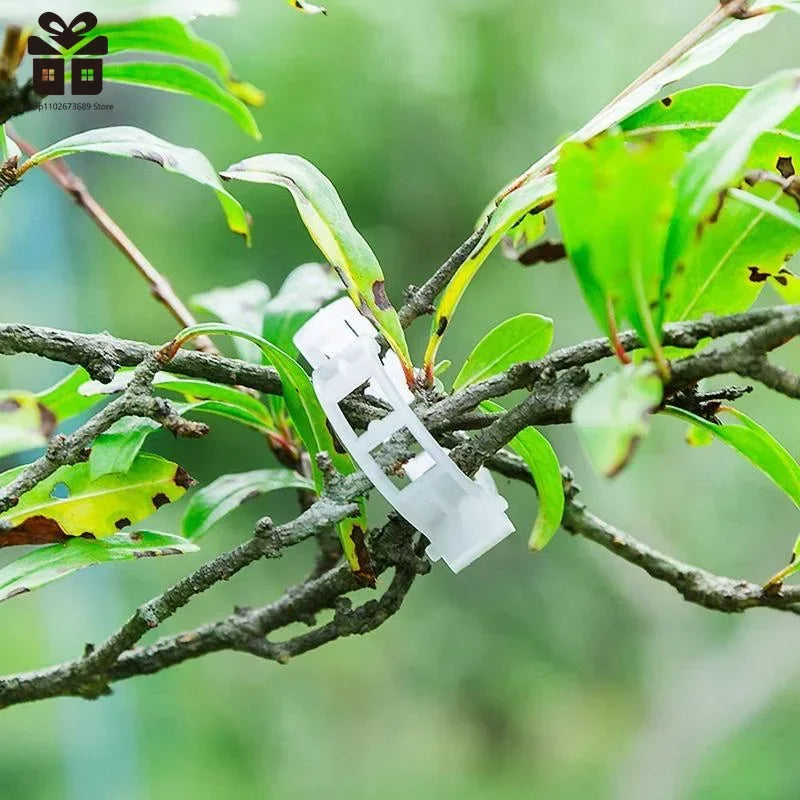 Clips de Soutien Puissants pour Plantes™