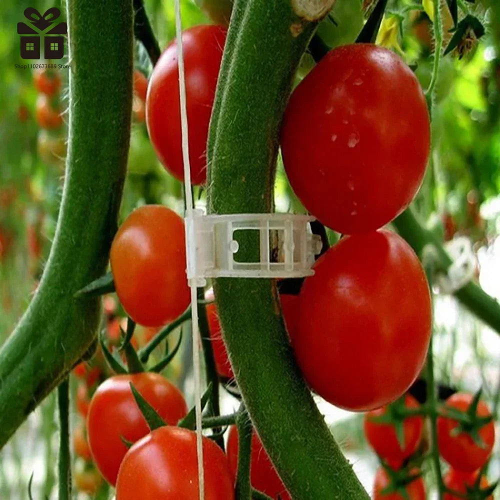Clips de Soutien Puissants pour Plantes™