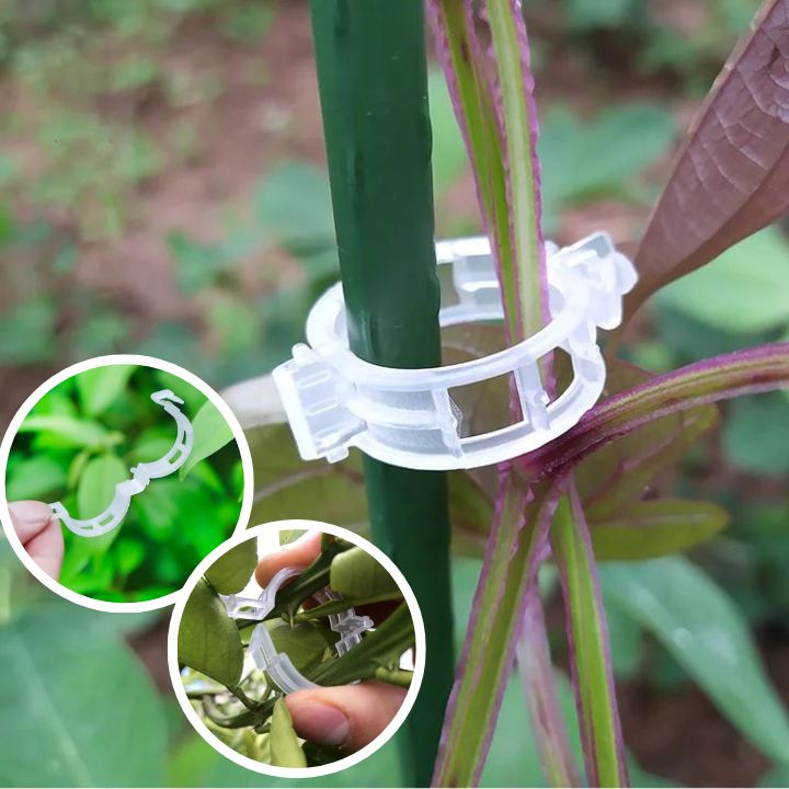 Clips de Soutien Puissants pour Plantes™