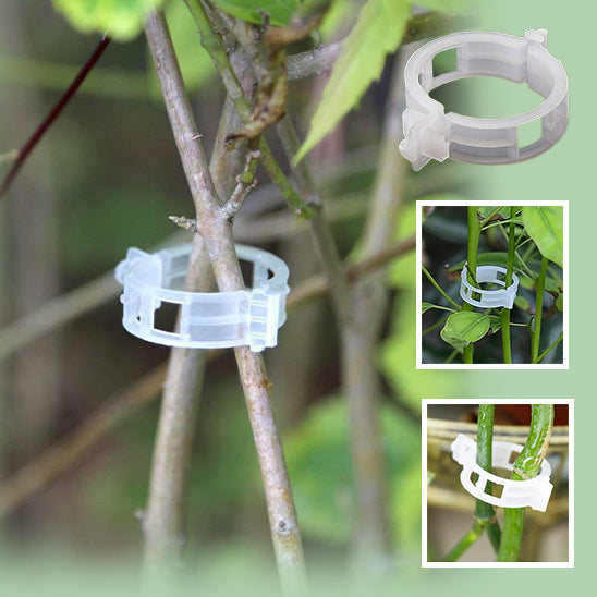 Clips de Soutien Puissants pour Plantes™
