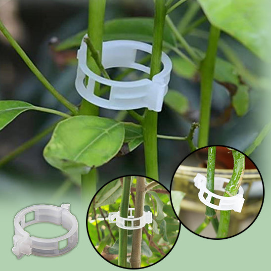Clips de Soutien Puissants pour Plantes™