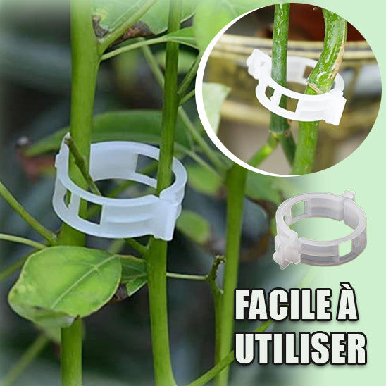 Clips de Soutien Puissants pour Plantes™